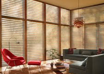 Hunter Douglas plust